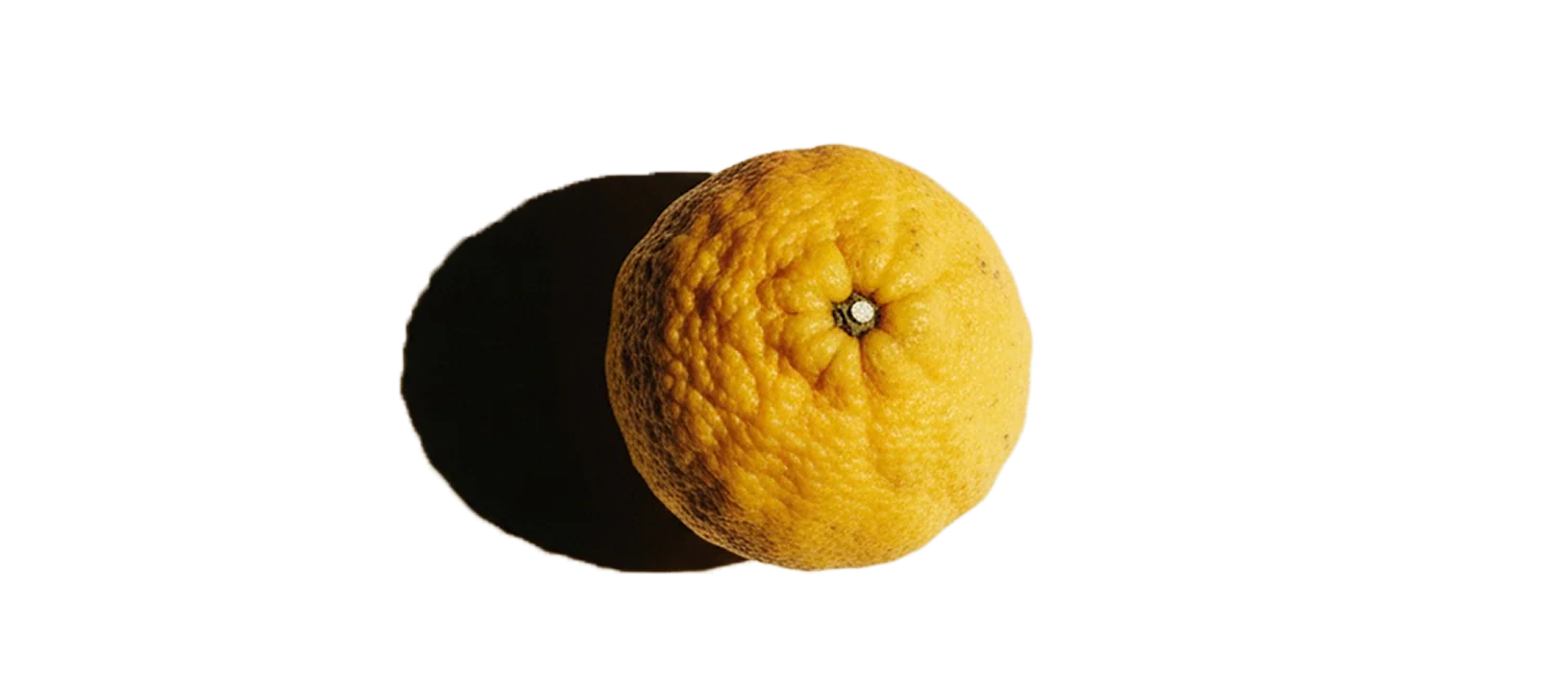 Sok z cytryny