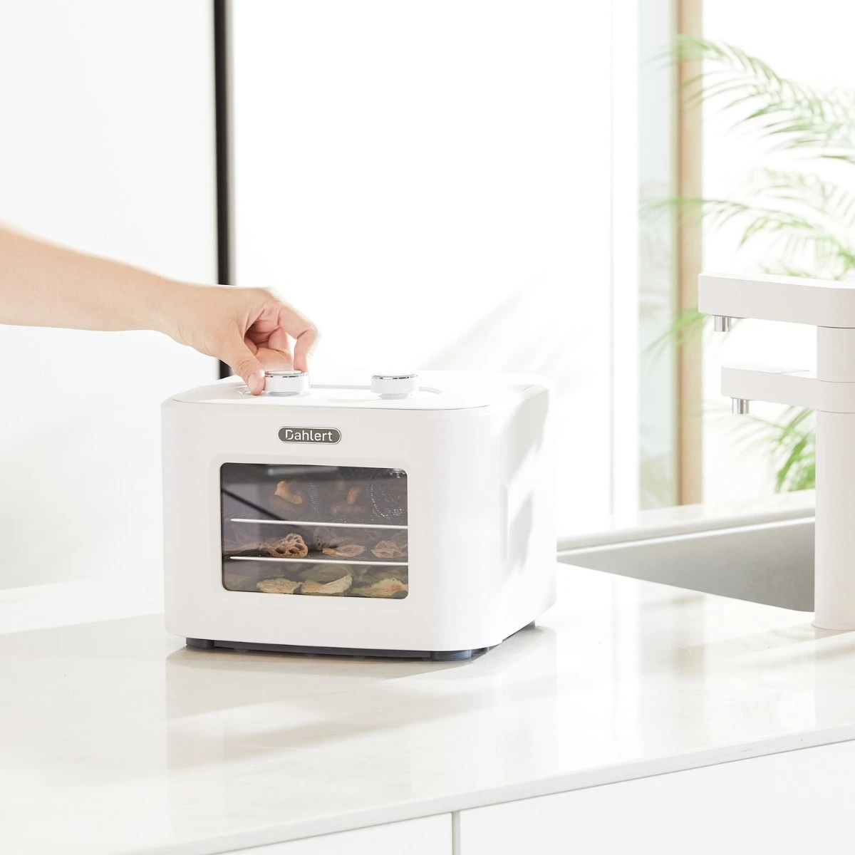 Dehydrator Dahlert – regulacja temperatury i czasu suszenia pokrętłami