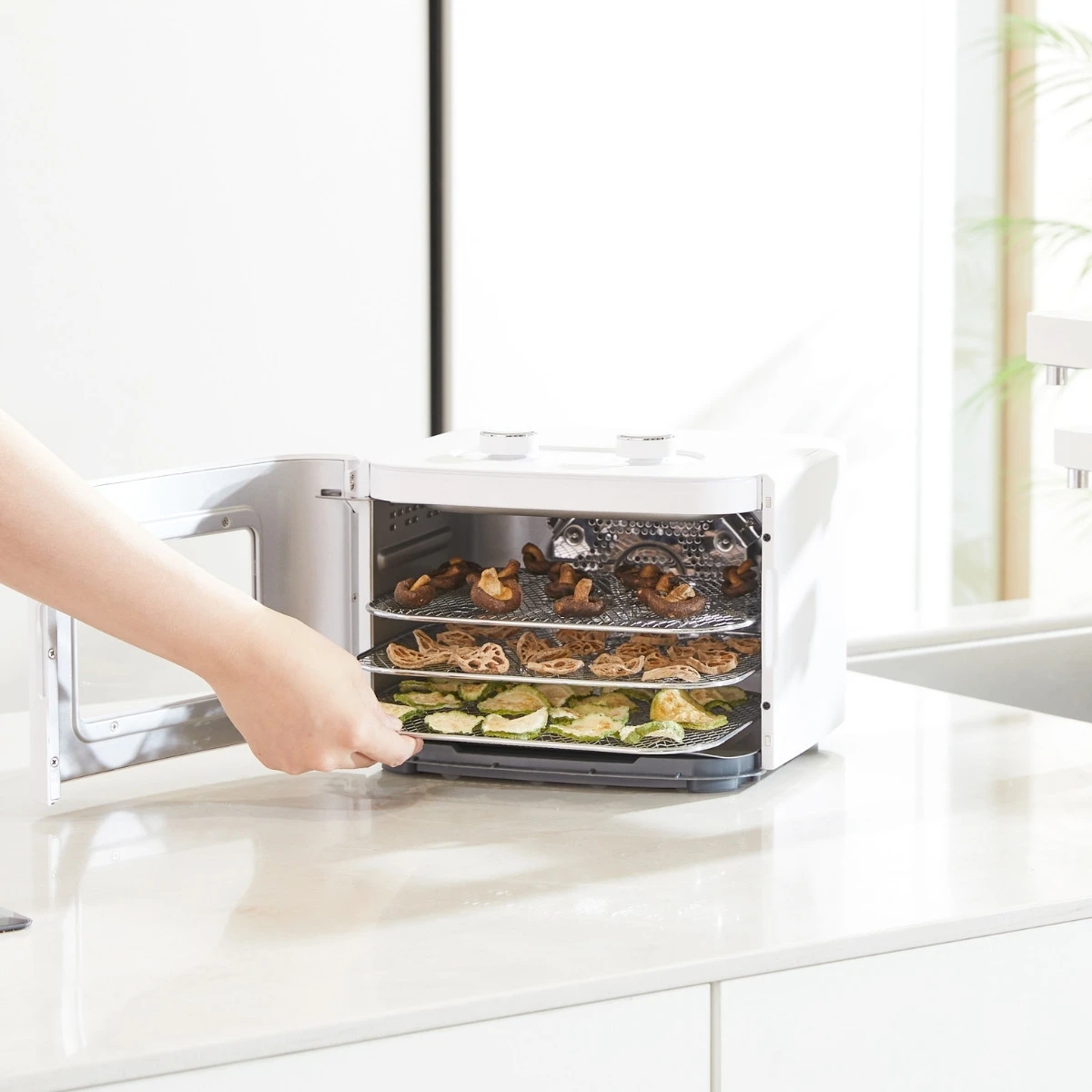 Dehydrator Dahlert – wyjmowanie tacki z suszonymi warzywami i grzybami