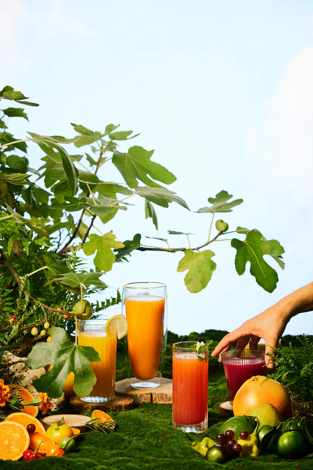 Domowe wyciskanie soku w wyciskarce Hurom H70 – naturalne składniki na stole