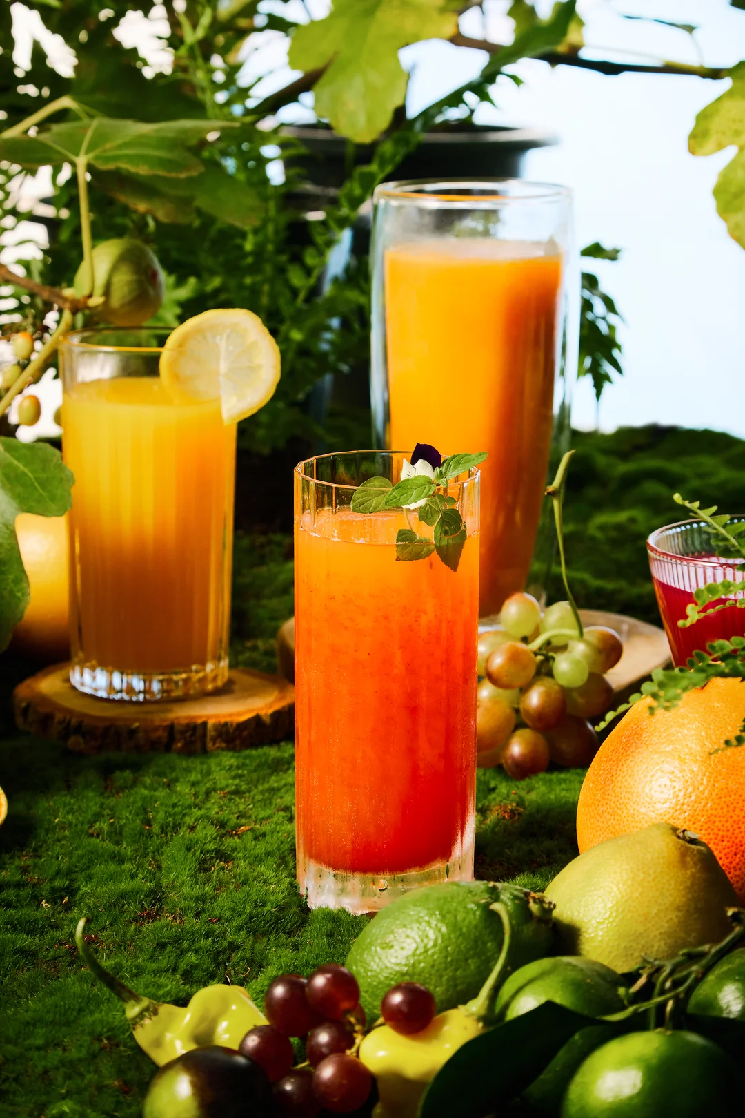 Lifestyle zdjęcie wyciskarki Hurom H70 w codziennym użytkowaniu