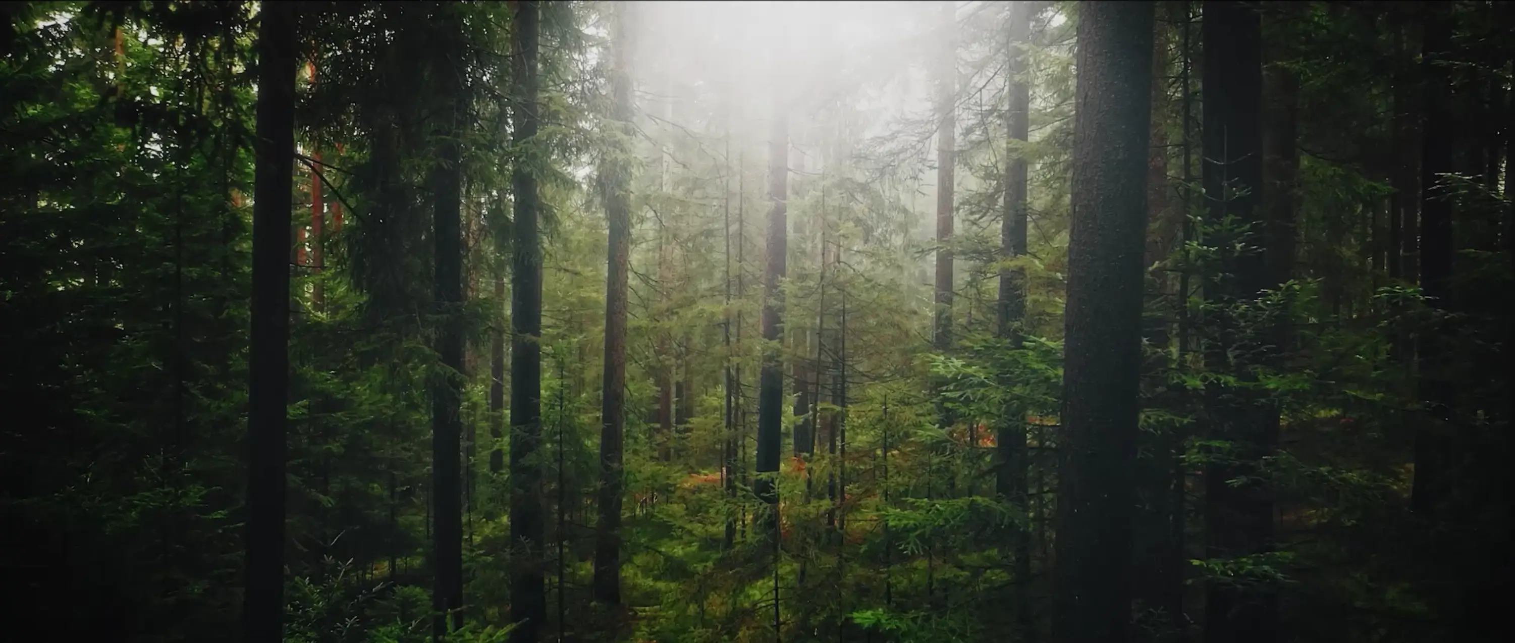 video_placeholder