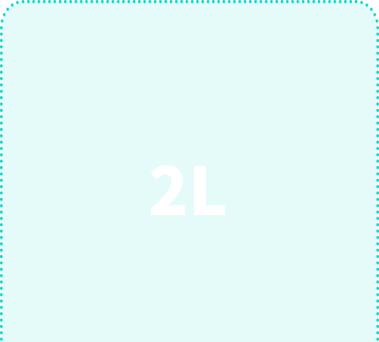 2L