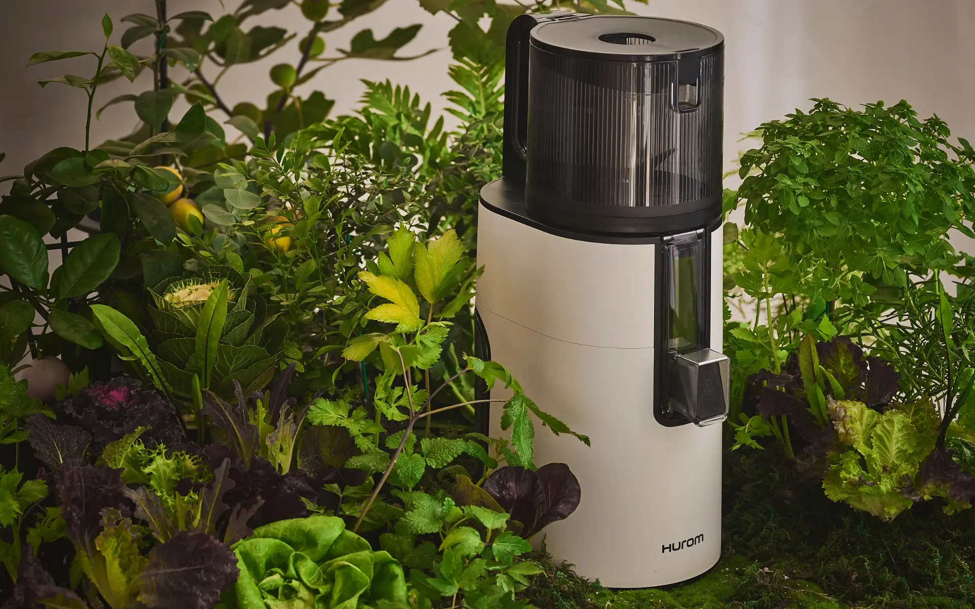 Jak wybrać profesjonalną wyciskarkę wolnoobrotową? Kompletny przewodnik dla restauratorów