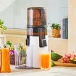 Wyciskarka Hurom H70 FT Easy Czarna + Blender Kielichowy Hurom BL-E01 3w1