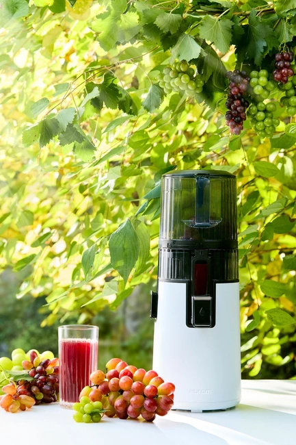 Wyciskarka Hurom H70 FT Easy Biała + Blender Kielichowy Hurom BL-E01 3w1