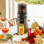 Wyciskarka Hurom H70 ST Tytanowa i Butelka na sok Smeg 500 ml