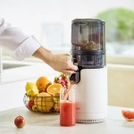 Wyciskarka Hurom E50 ST Pure + Blender Kielichowy Hurom BL-E01 3w1