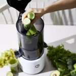 Hurom H300E Satin White Slow Juicer