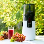 Wyciskarka Hurom H70 FT Biała i Butelka na sok Smeg 500 ml